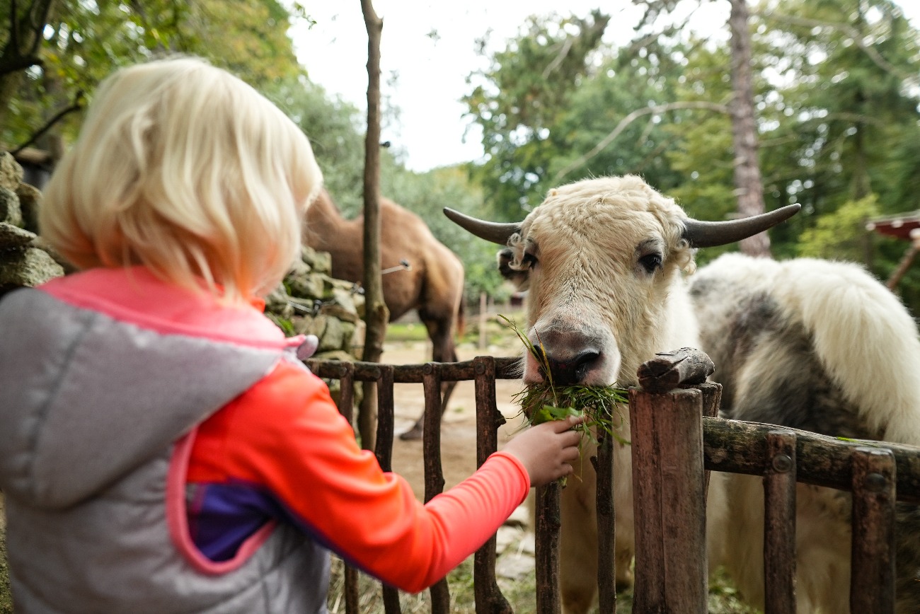 Tierische Begegnungen
